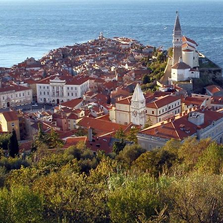 Sea View Istrian Countryside Apartment - Rota Dragonja Exterior foto