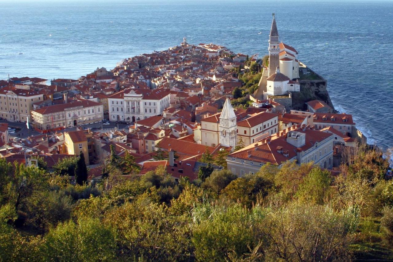 Sea View Istrian Countryside Apartment - Rota Dragonja Exterior foto