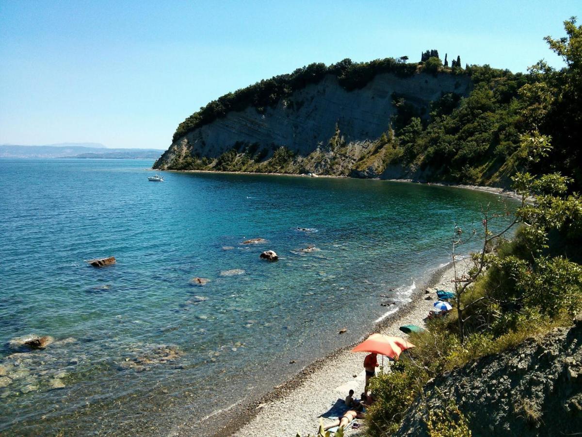 Sea View Istrian Countryside Apartment - Rota Dragonja Exterior foto